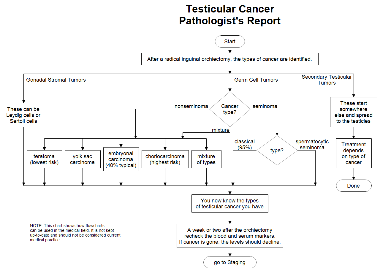 Pathologist Report for Testicular Cancer
