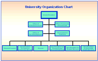 University Organization Chart